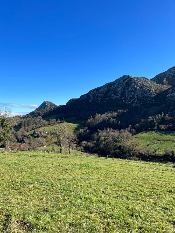 La Vierta Casa Rural Agroturismo Ribadesella Dış mekan fotoğraf