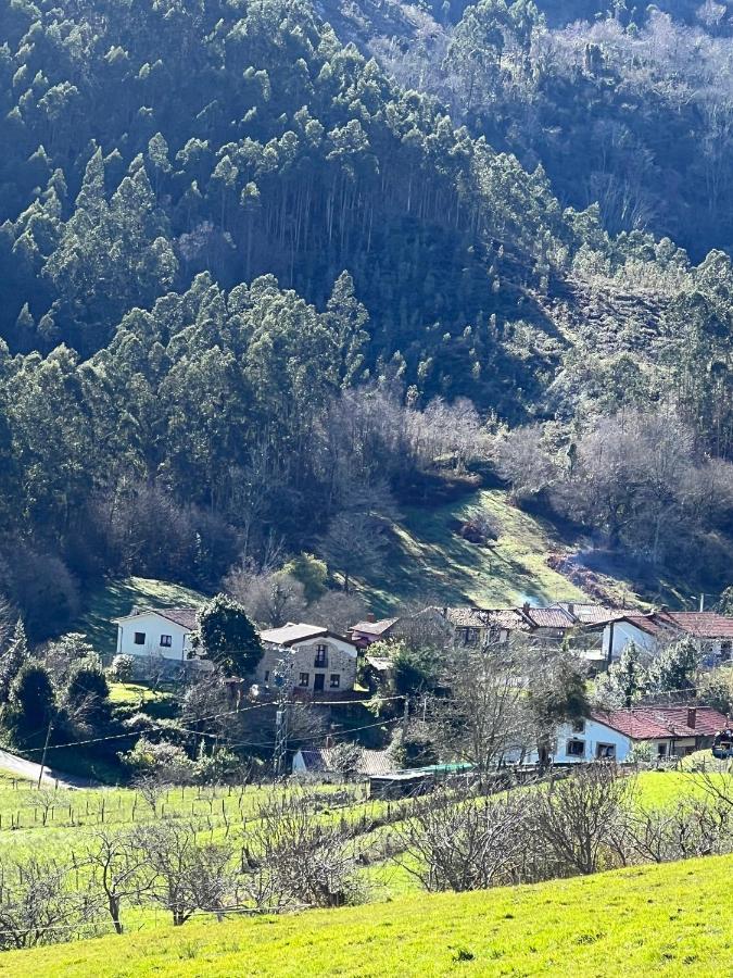 La Vierta Casa Rural Agroturismo Ribadesella Dış mekan fotoğraf