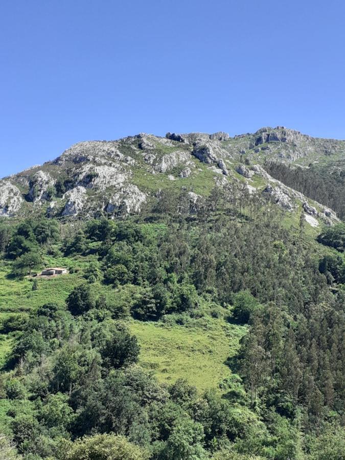 La Vierta Casa Rural Agroturismo Ribadesella Dış mekan fotoğraf