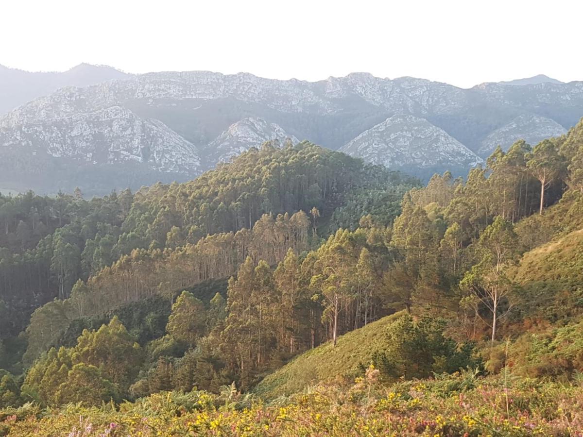 La Vierta Casa Rural Agroturismo Ribadesella Dış mekan fotoğraf
