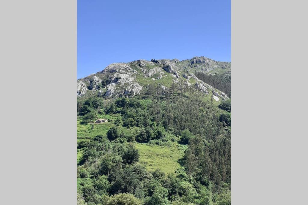 La Vierta Casa Rural Agroturismo Ribadesella Dış mekan fotoğraf